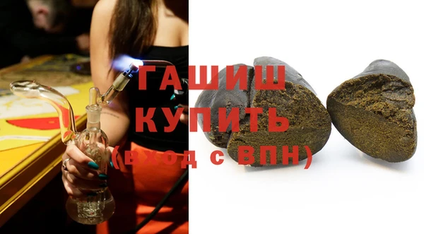 шишки Гвардейск