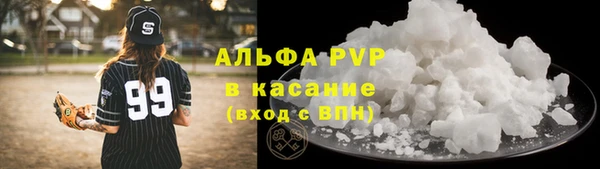 ECSTASY Покачи