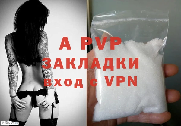 ECSTASY Покачи