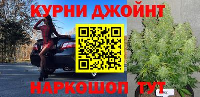 шишки Абинск