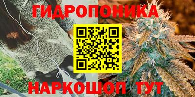 хмурый Мариинск