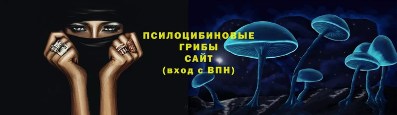 Галлюциногенные грибы Magic Shrooms  Алексин 