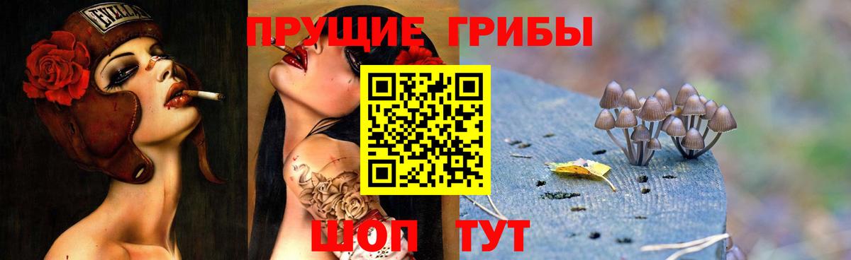 Псилоцибиновые грибы GOLDEN TEACHER Алексин