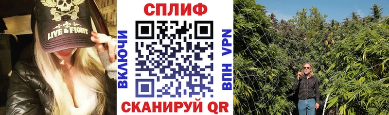 как найти закладки Алексин Шишки марихуана гибрид